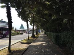 -信不信由你博物馆