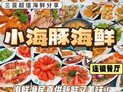 -小海豚·老字号海鲜餐厅(三亚湾店)