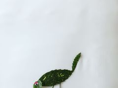 -半岛星际酒店(义乌国际商贸城店)