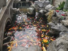 -西林禅寺