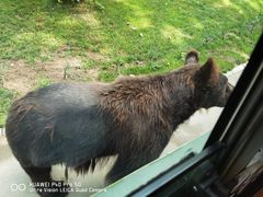 -北京野生动物园