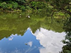 -深圳市中科院仙湖植物园