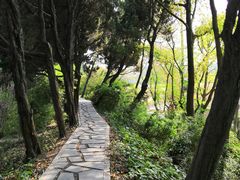 -嘉定紫藤园