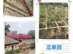-青青世界