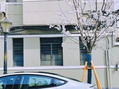 -TESLA 特斯拉(上海太古汇体验店)