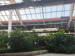 -红栌温泉山庄生态美食餐厅