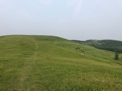 -恋山坝上草原