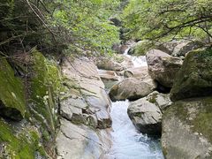 -大鄣山卧龙谷景区
