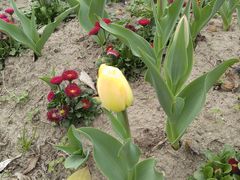 -杭州师范大学(下沙校区)