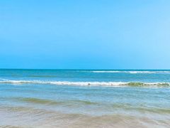 -日照海滨国家森林公园
