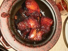 -佬肥猫(七宝宝龙店)