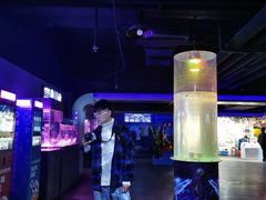 -大连圣亚海洋世界
