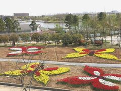 -杭州湾海上花田景区