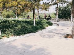 -滨河世纪广场公园