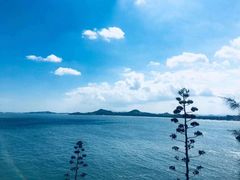 -漳州滨海火山岛自然生态风景区