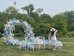 -鹅湖玫瑰文化园
