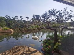 -罗红摄影艺术馆