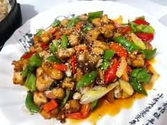-煲来饱去冷水鱼