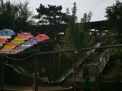 -欢乐松鼠谷