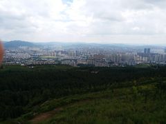 -长虫山生态公园风景林