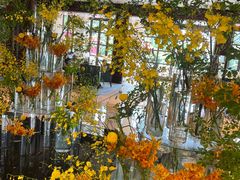 -杭州西子湖四季酒店-WL BISTRO西湖餐厅(灵隐路店)