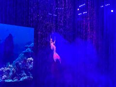 -芜湖新华联大白鲸海洋公园