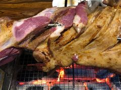 -柿子树炭烤羊腿(金台路店)