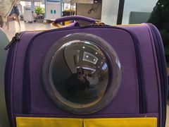 -爱派特动物医院·全科诊疗中心