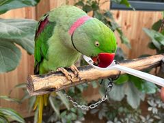 -南宫五洲植物乐园