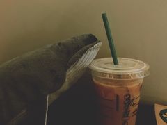 -星巴克(天津滨海国际机场1店)