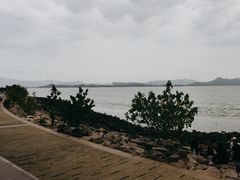 -深圳湾公园(南山区)