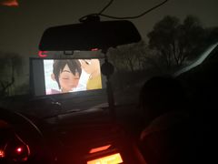 -枫花园汽车电影院(朝阳公园店)