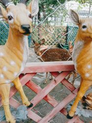 -萌宠亲子动物乐园(槐房万达店)