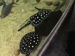 -江和美海洋公园