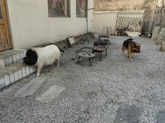 -小时光咖啡馆(开森度假森林店)