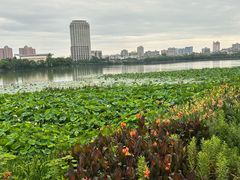 -南昌青山湖风景区