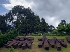-云南野生动物园