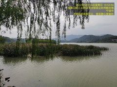 -鸣鹤古镇