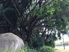 -厦门悦华酒店