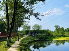 -桤木河湿地公园