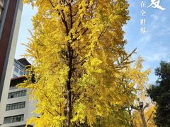 -四川大学(华西校区)