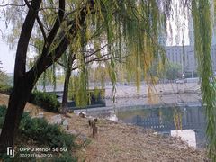 -南长河公园