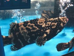 -麦德龙(郑东店)