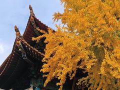 -宝通禅寺