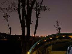 -春花秋色城市公园