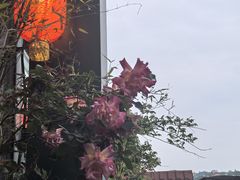 -慢丽江·云南野生菌土鸡锅(付家庄店)