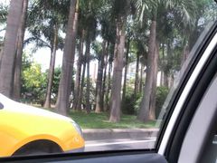 -鼓浪屿内厝澳码头(轮渡站)