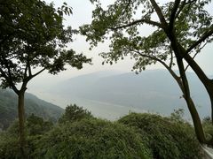 -铁山坪森林公园