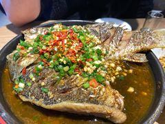 -聚鑫朋酸菜肥肠(文艺路口店)