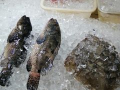 -快乐海鲜城(虎泉街店)